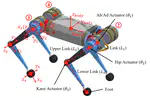 Quadruped robot modeling and simulation