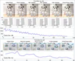 Model-Free Self-Calibration of Force-Sensing Shoes for Humanoids